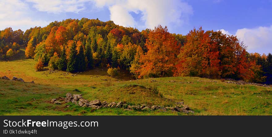 Nature, Ecosystem, Temperate Broadleaf And Mixed Forest, Nature Reserve