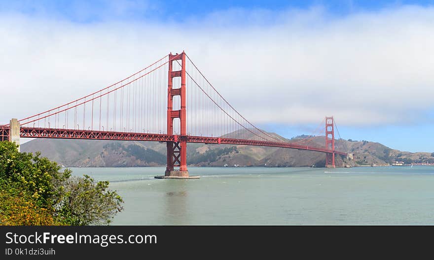 Bridge, Cable Stayed Bridge, Suspension Bridge, Extradosed Bridge