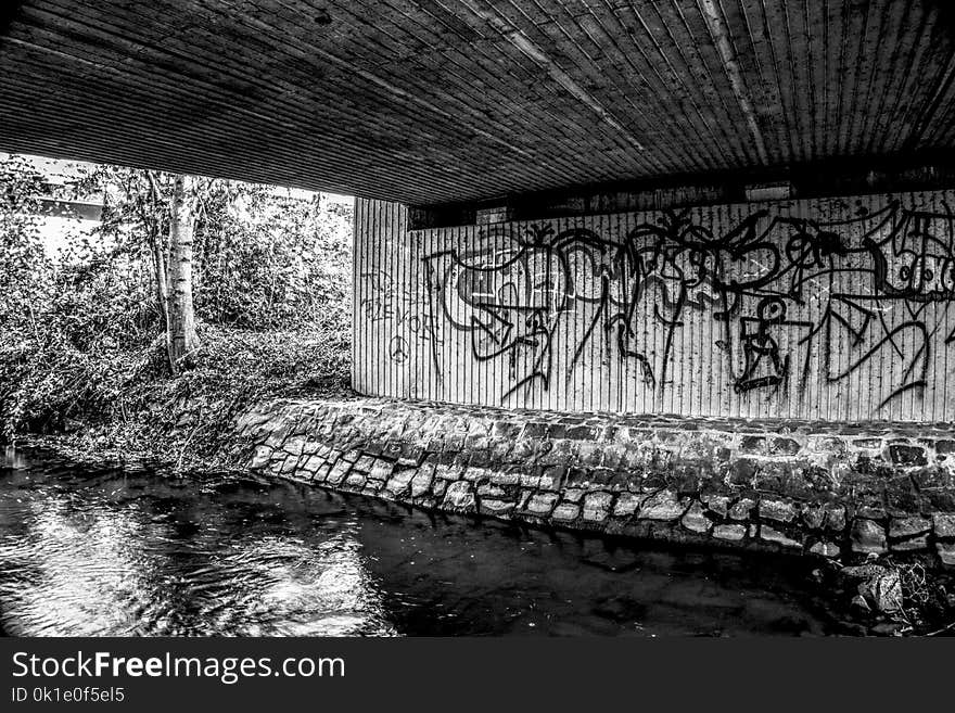 Water, Reflection, Black And White, Tree