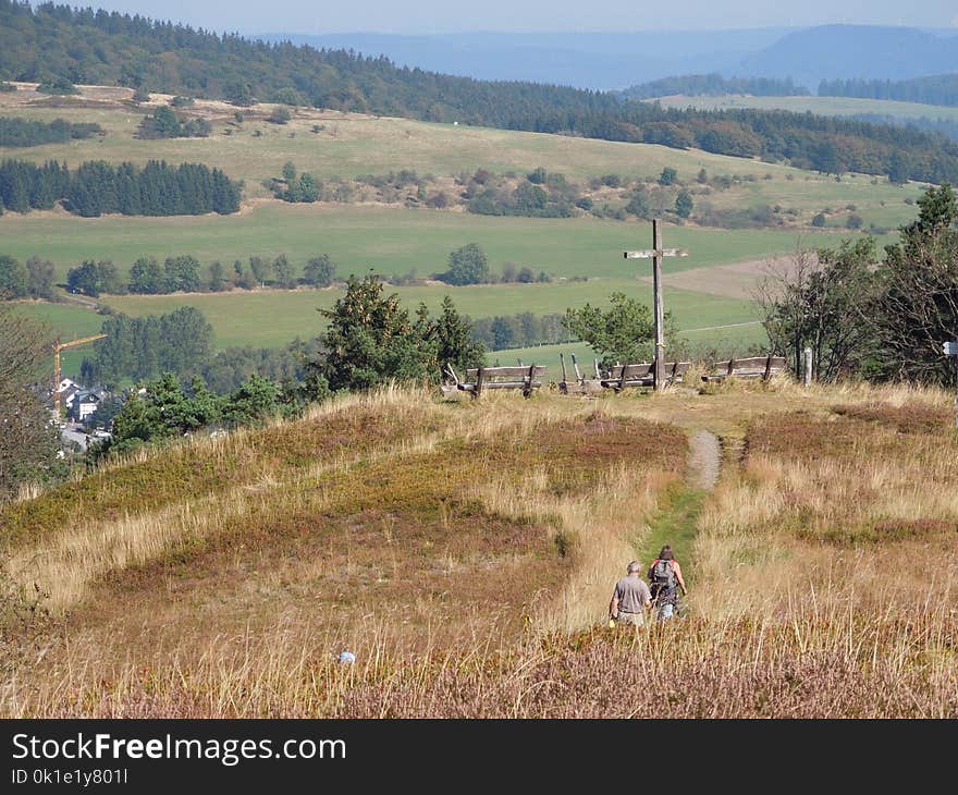 Grassland, Ecosystem, Hill, Pasture