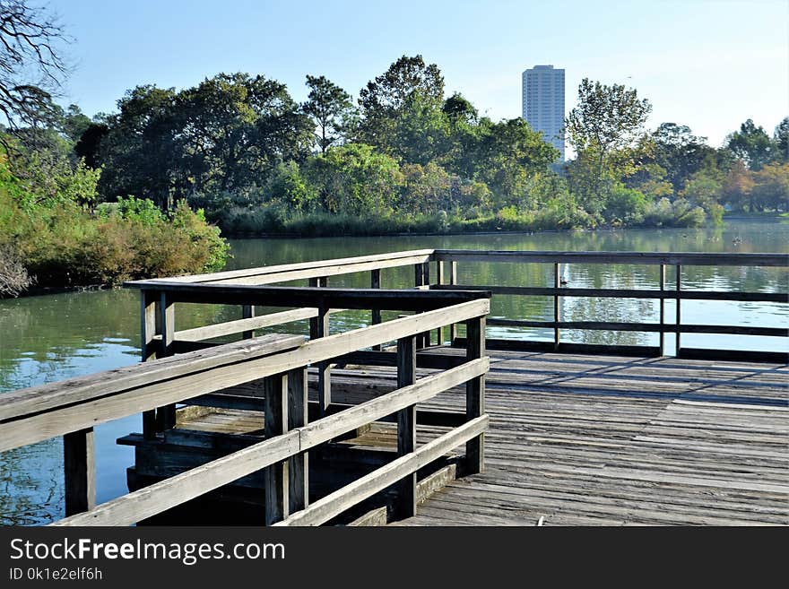 Water, Dock, Tree, Boardwalk