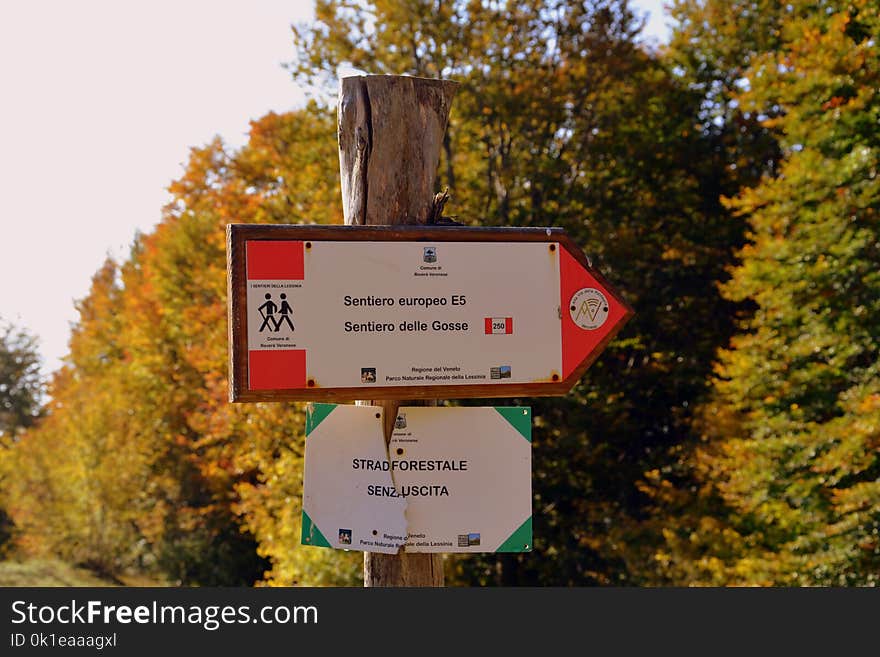 Nature, Tree, Signage, Sign