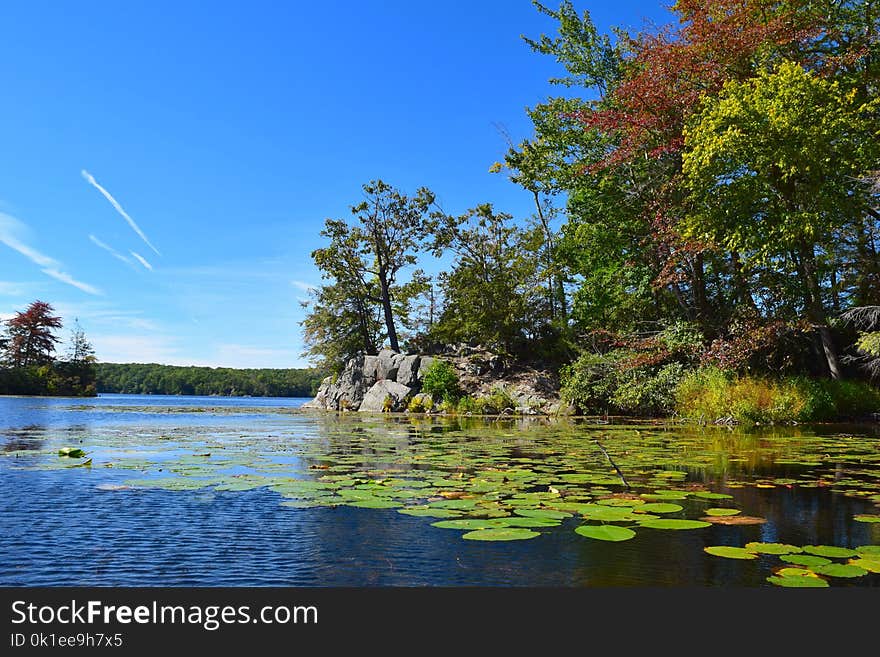 Water, Reflection, Nature, Body Of Water