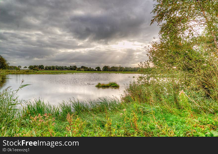 Nature, Water, Nature Reserve, Wetland