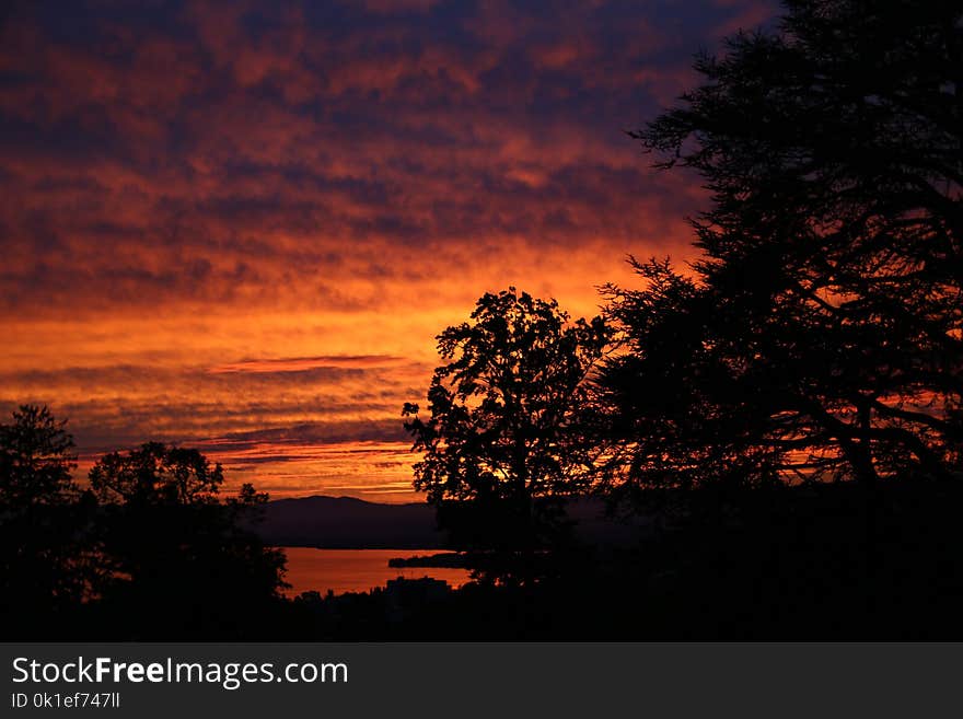 Sky, Red Sky At Morning, Afterglow, Nature