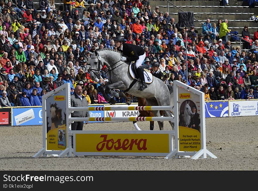 Horse, Mammal, Show Jumping, Horse Like Mammal