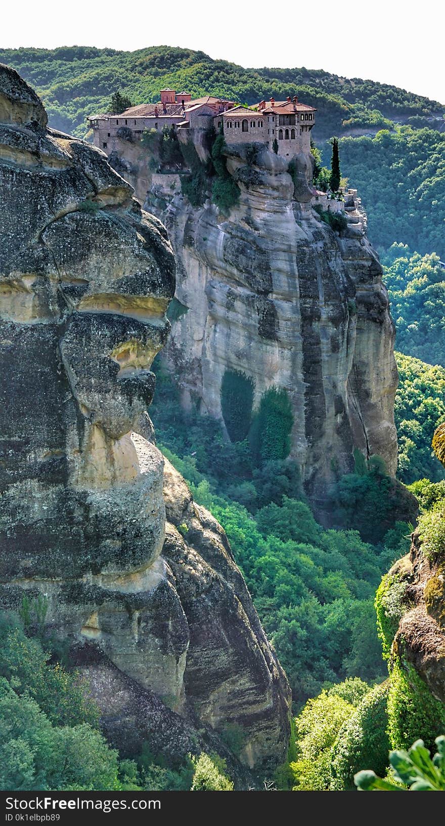 Nature, Nature Reserve, Vegetation, Hill Station