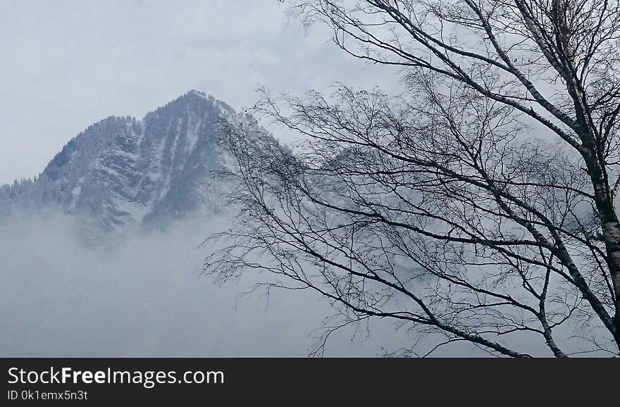 Sky, Tree, Mountainous Landforms, Winter