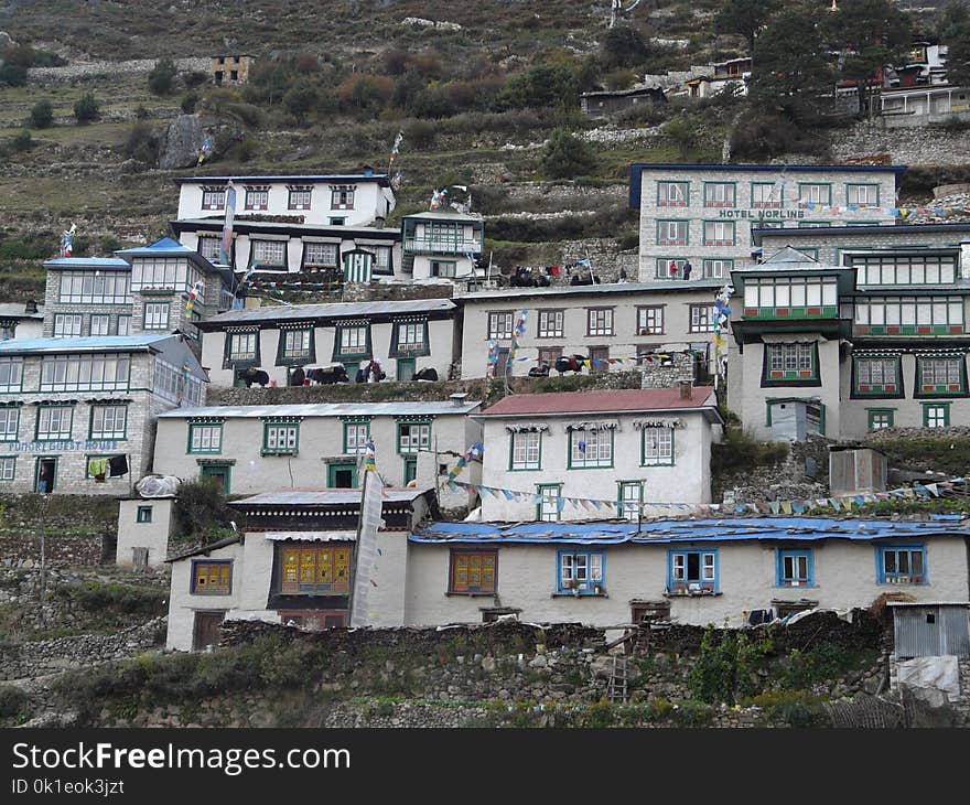 Neighbourhood, City, Building, Residential Area