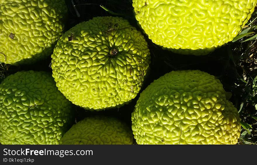 Fruit, Close Up, Produce, Organism