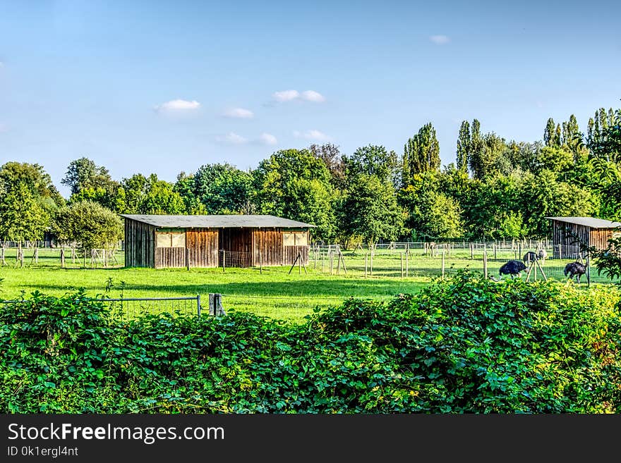 Vegetation, Nature Reserve, Property, Grassland