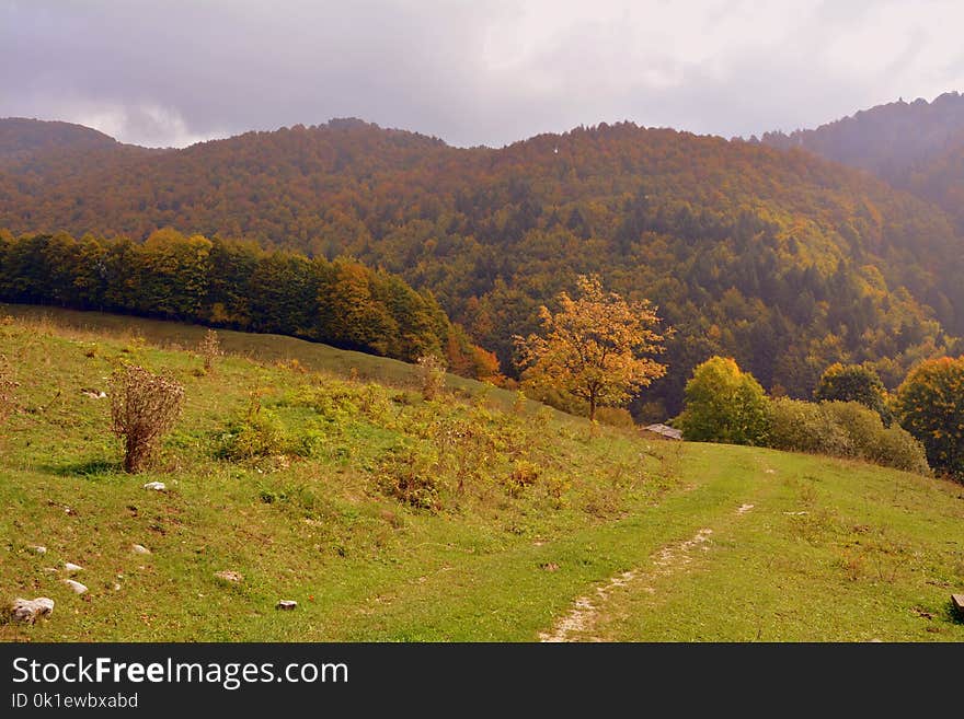 Highland, Nature, Leaf, Mountainous Landforms