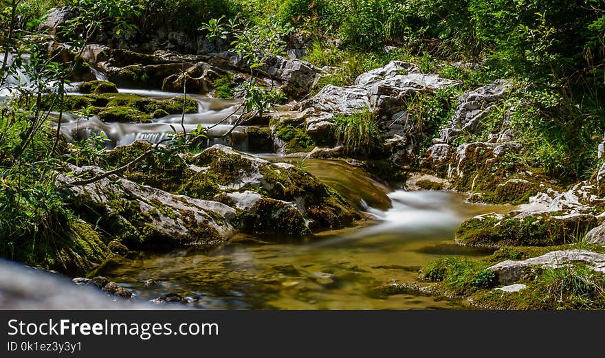 Stream, Water, Nature, Vegetation