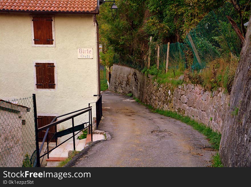 Wall, Village, Tree, House