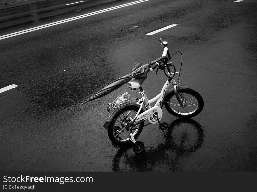 Land Vehicle, Black And White, Bicycle, Motor Vehicle