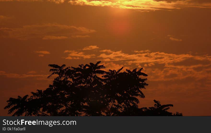 Sky, Afterglow, Red Sky At Morning, Sunrise