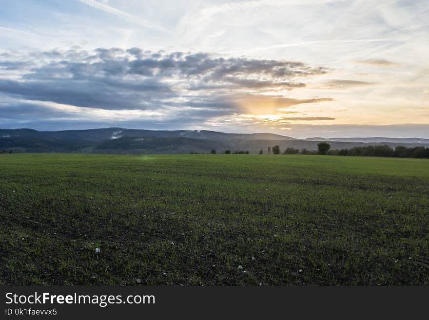 Grassland, Sky, Field, Ecosystem