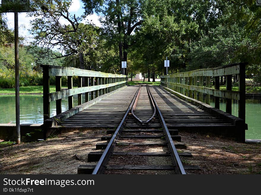 Track, Transport, Bridge, Tree