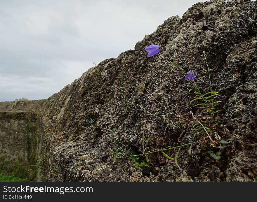 Rock, Bedrock, Outcrop, Escarpment