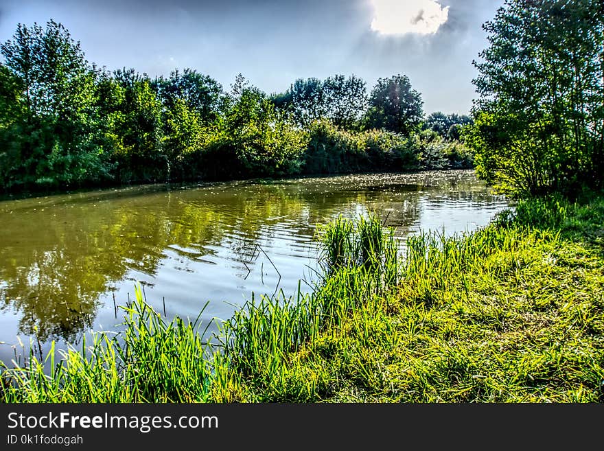 Reflection, Water, Nature, Vegetation