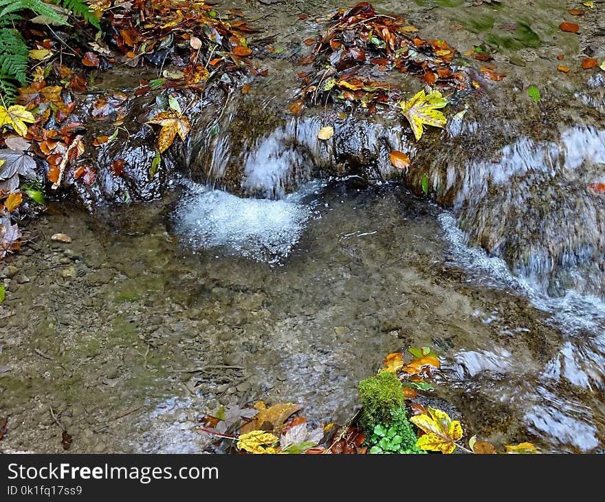 Water, Stream, Nature, Body Of Water