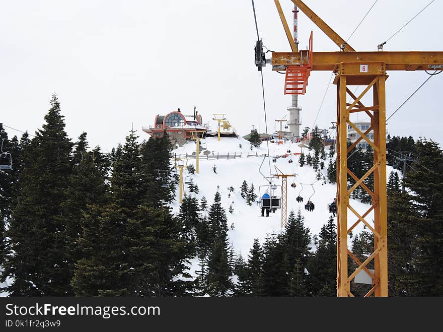 Tree, Cable Car, Mountain Range, Mountain