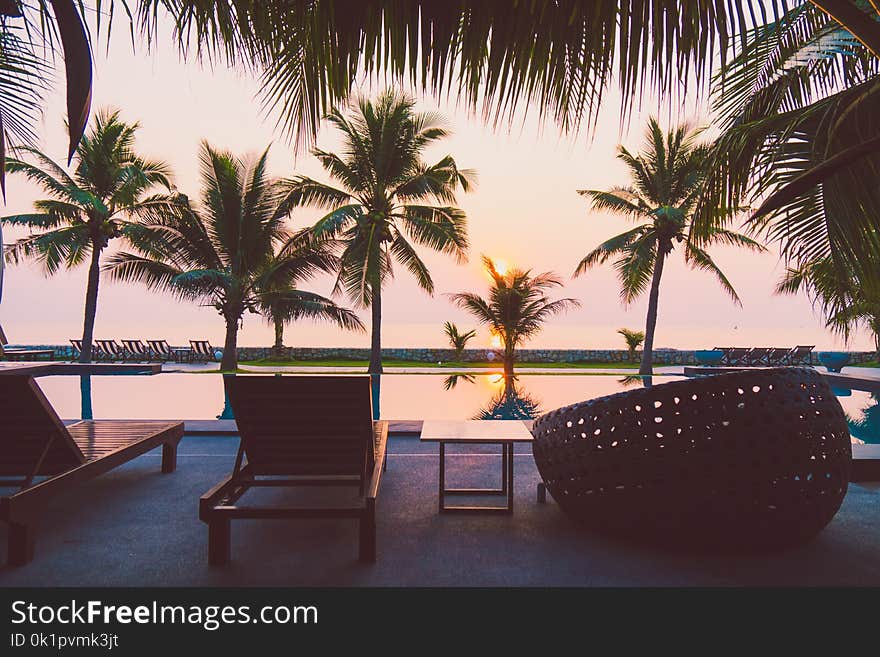 Silhouette coconut palm tree around outdoor swimming pool