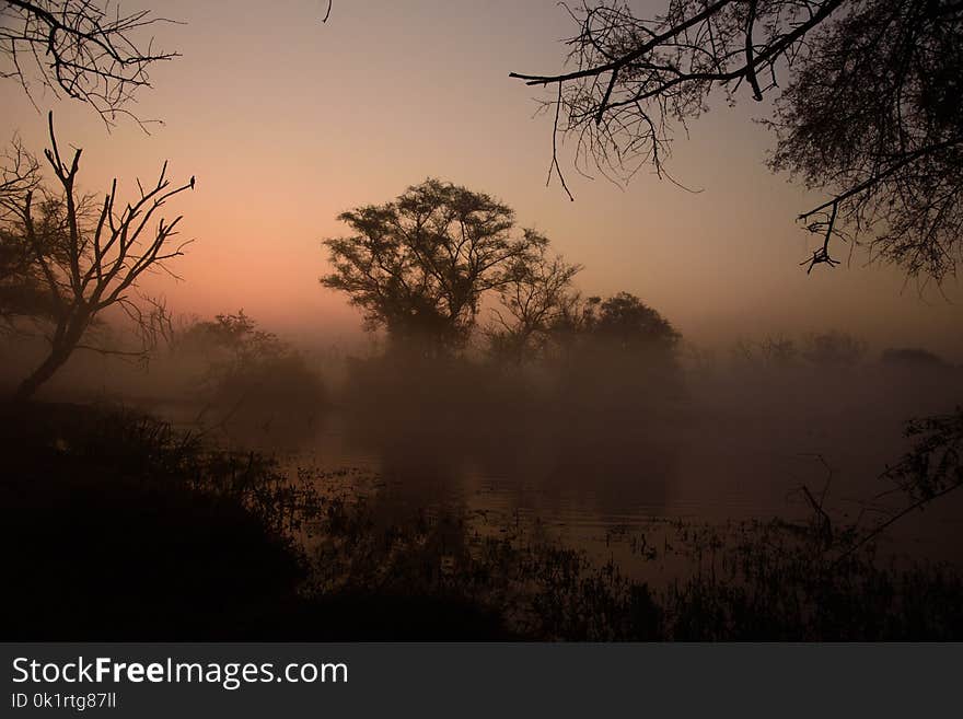 Beautiful sunrise landscape