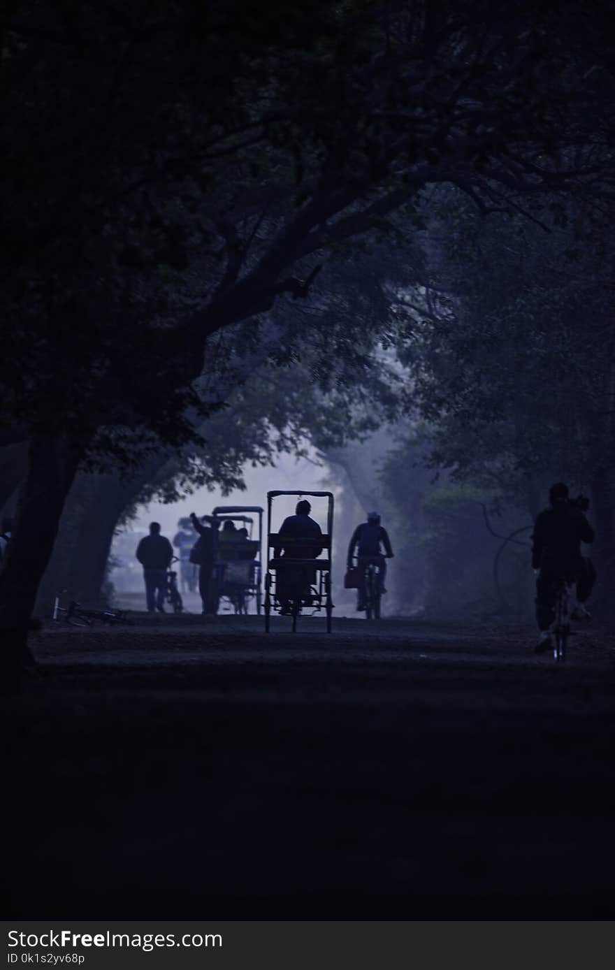 Signature shot of Bharatpur, rajasthan, India. Shot in misty morning in winter. Signature shot of Bharatpur, rajasthan, India. Shot in misty morning in winter