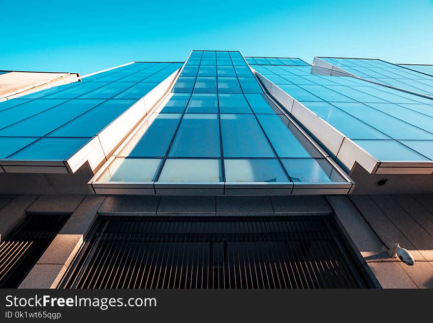 Low Angle Photography of Blue Glass Building