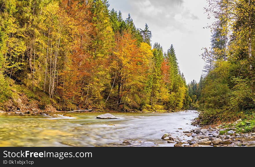 Nature, Water, Ecosystem, Nature Reserve