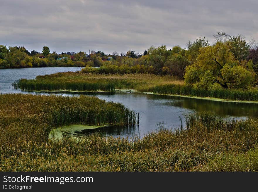 Water, Reflection, Nature, Wetland