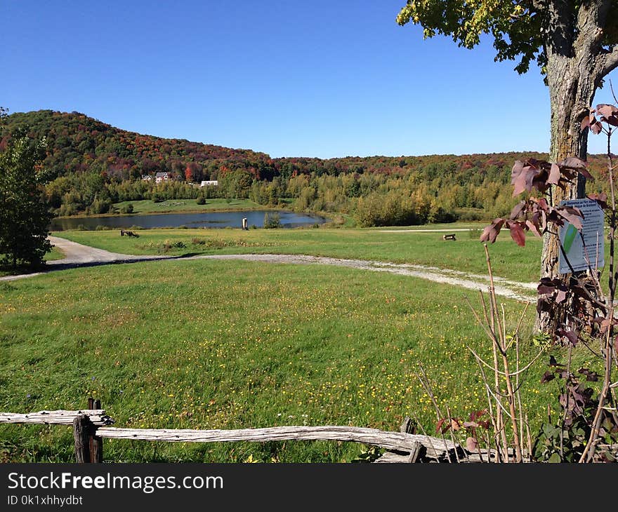 Property, Pasture, Nature Reserve, Grassland