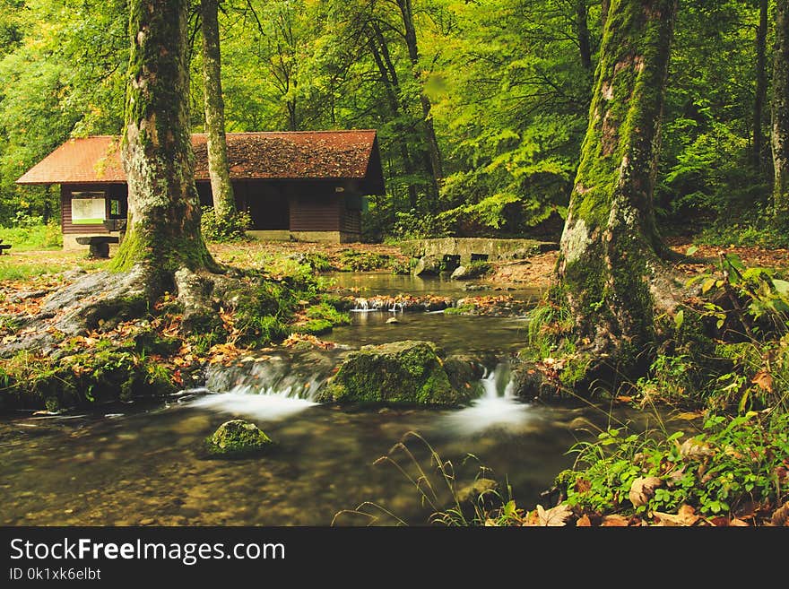 Water, Nature, Vegetation, Nature Reserve