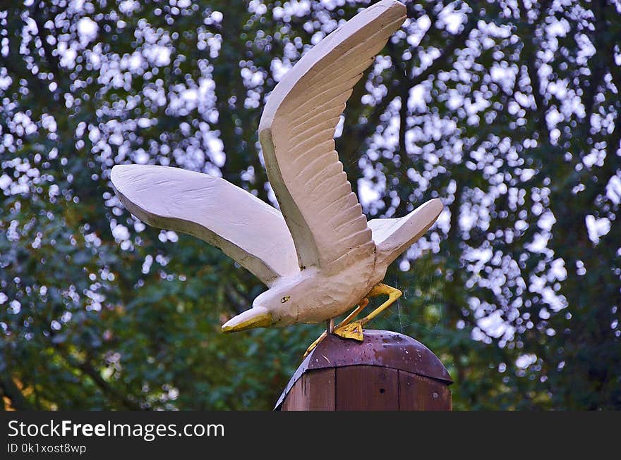 Bird, Fauna, Beak, Tree