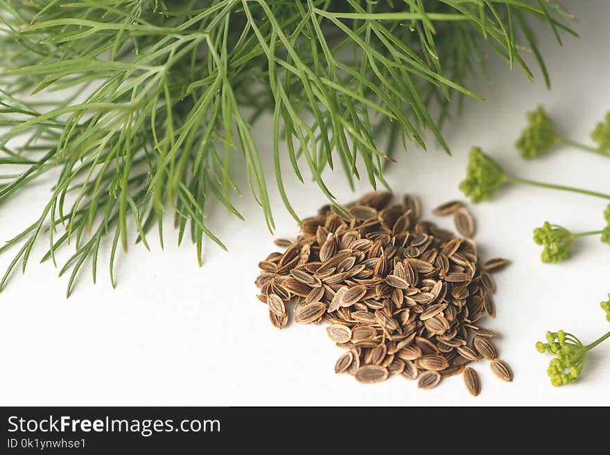 Herb, Ingredient, Black Cumin, Vegetarian Food