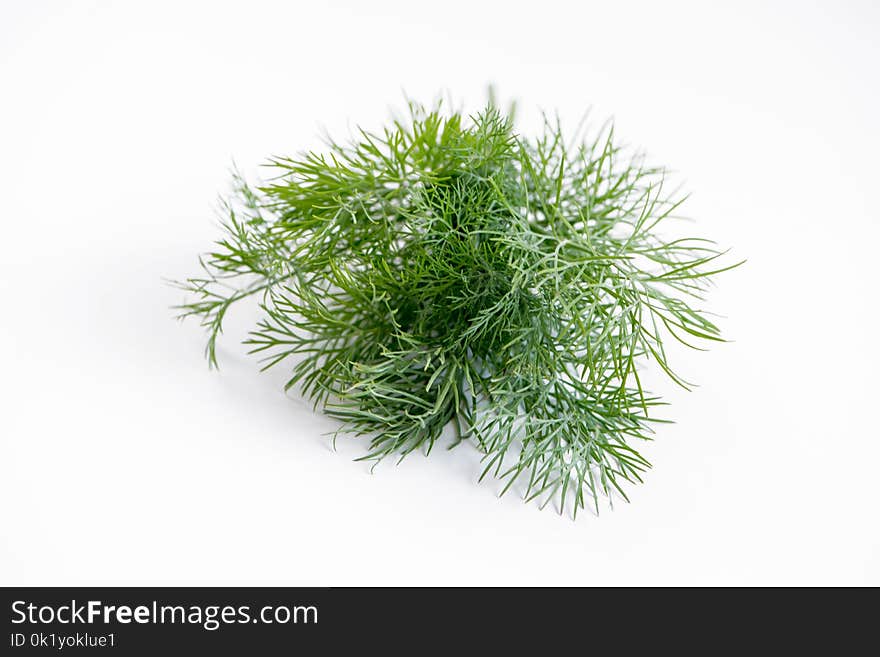 Grass, Plant, Herb, Flowerpot