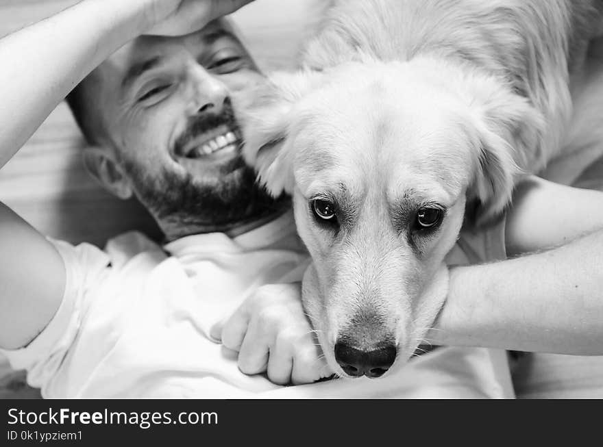 Dog, Photograph, Dog Breed, Black And White