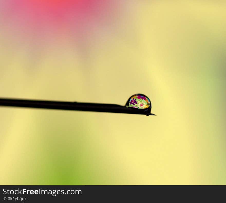 Close Up, Macro Photography, Water, Moisture