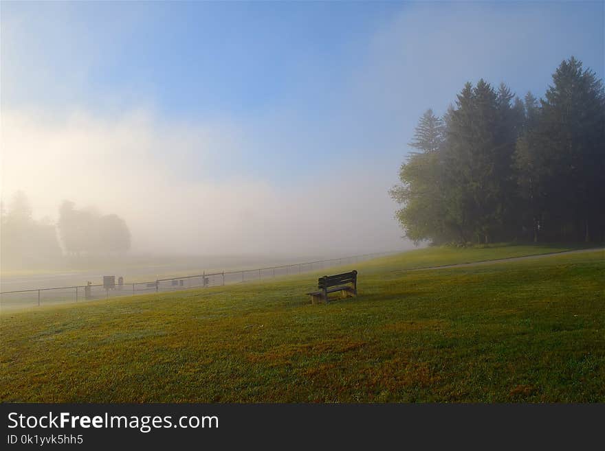 Grassland, Sky, Mist, Morning