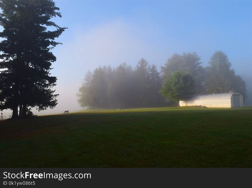 Sky, Mist, Fog, Morning