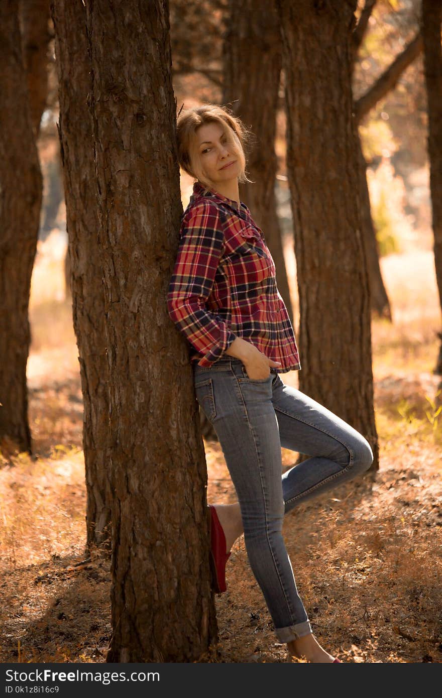 Tree, Plaid, Woody Plant, Girl