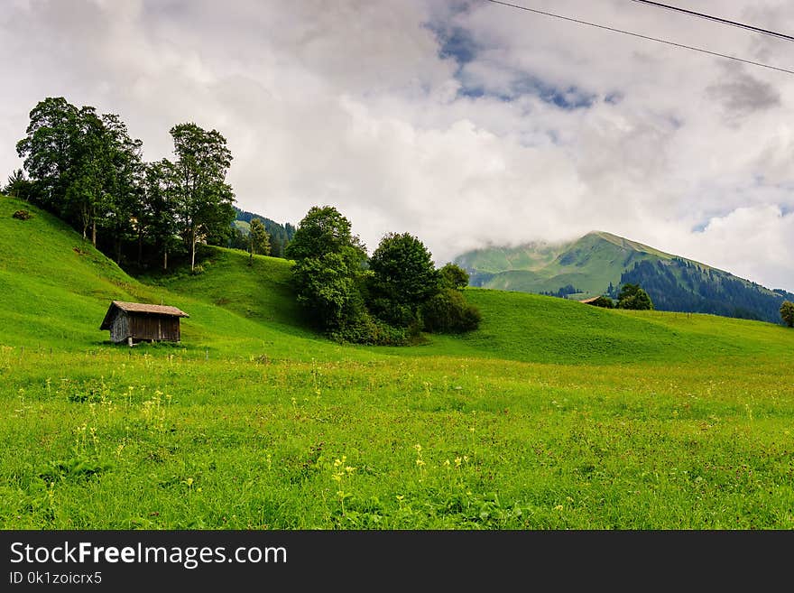 Grassland, Sky, Pasture, Nature