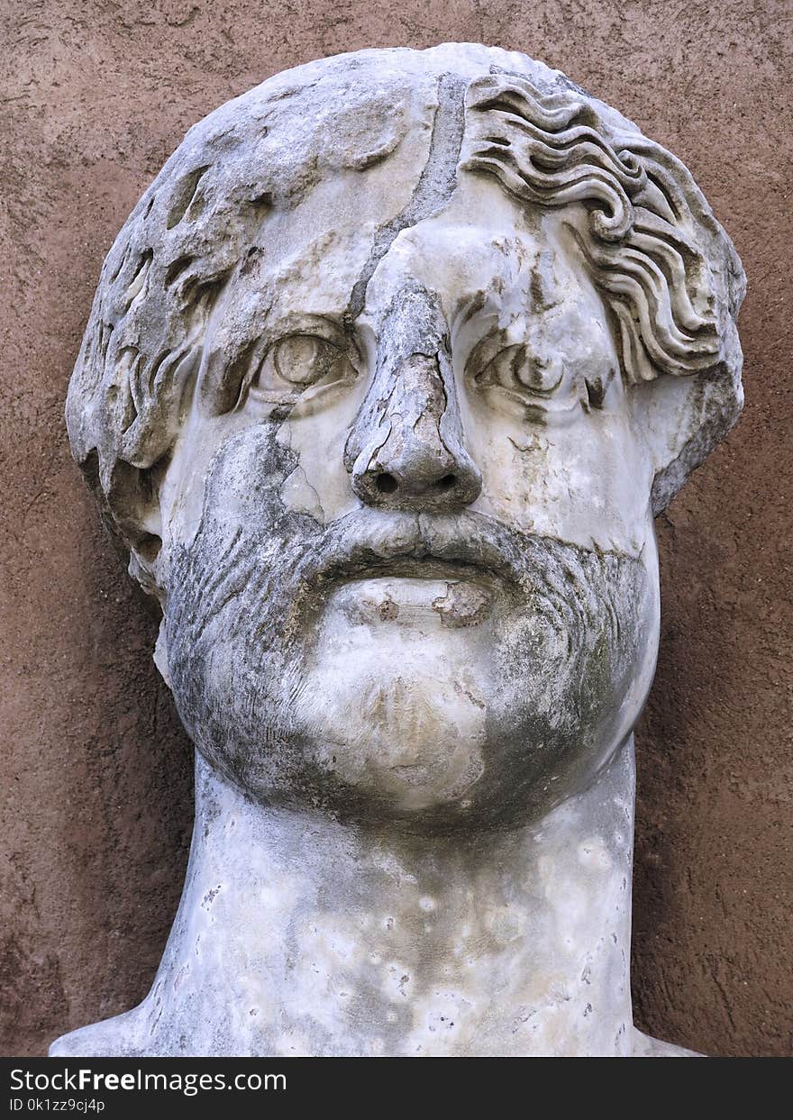 Sculpture, Stone Carving, Statue, Head