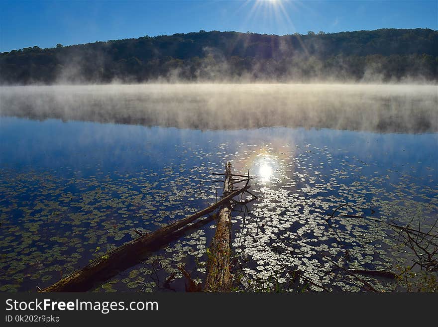 Water, Reflection, Nature, Lake