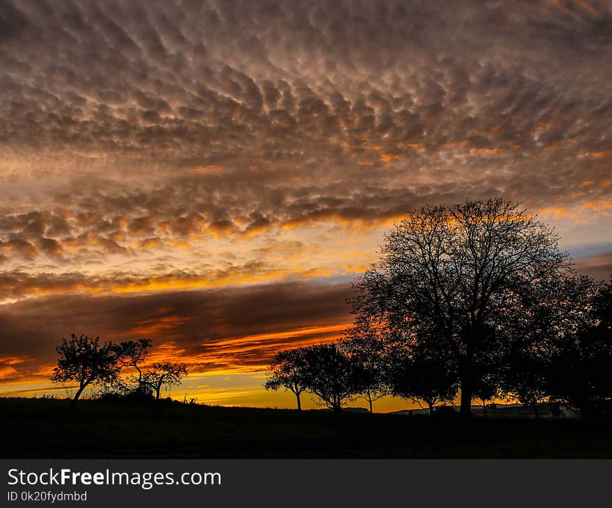 Sky, Cloud, Dawn, Red Sky At Morning