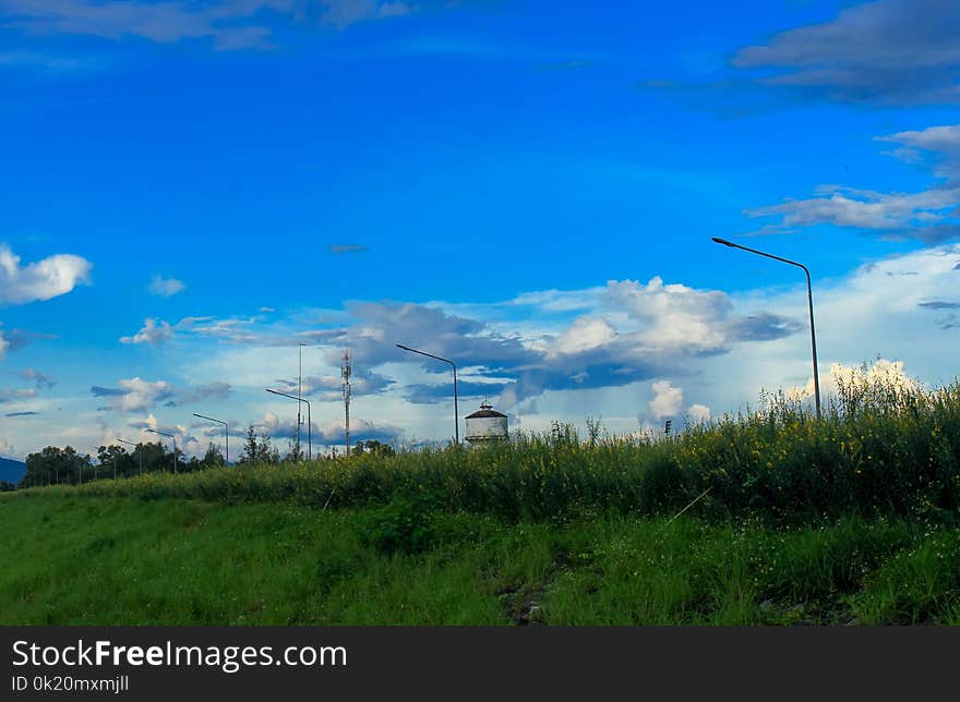 Sky, Grassland, Cloud, Ecosystem