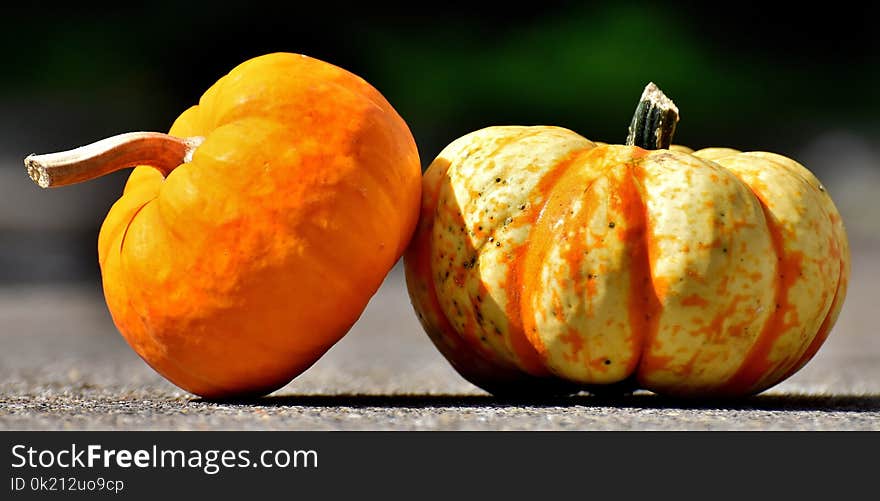 Winter Squash, Cucurbita, Calabaza, Orange