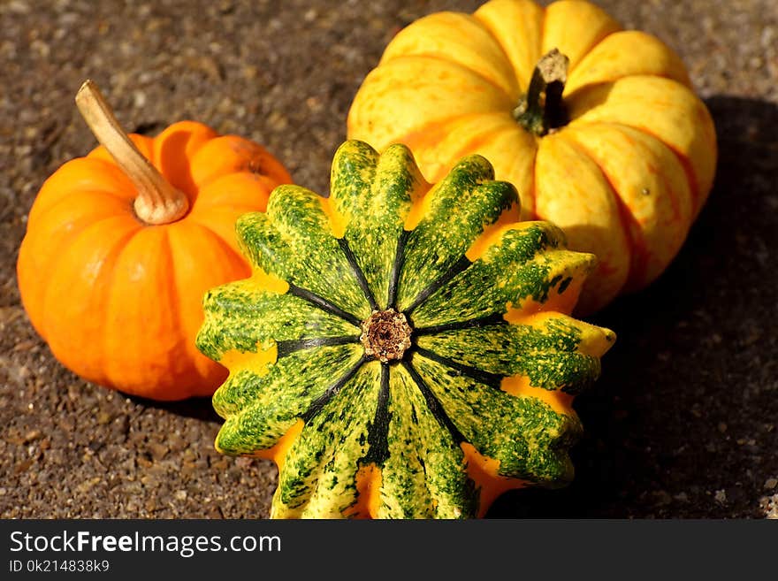 Vegetable, Winter Squash, Cucurbita, Calabaza