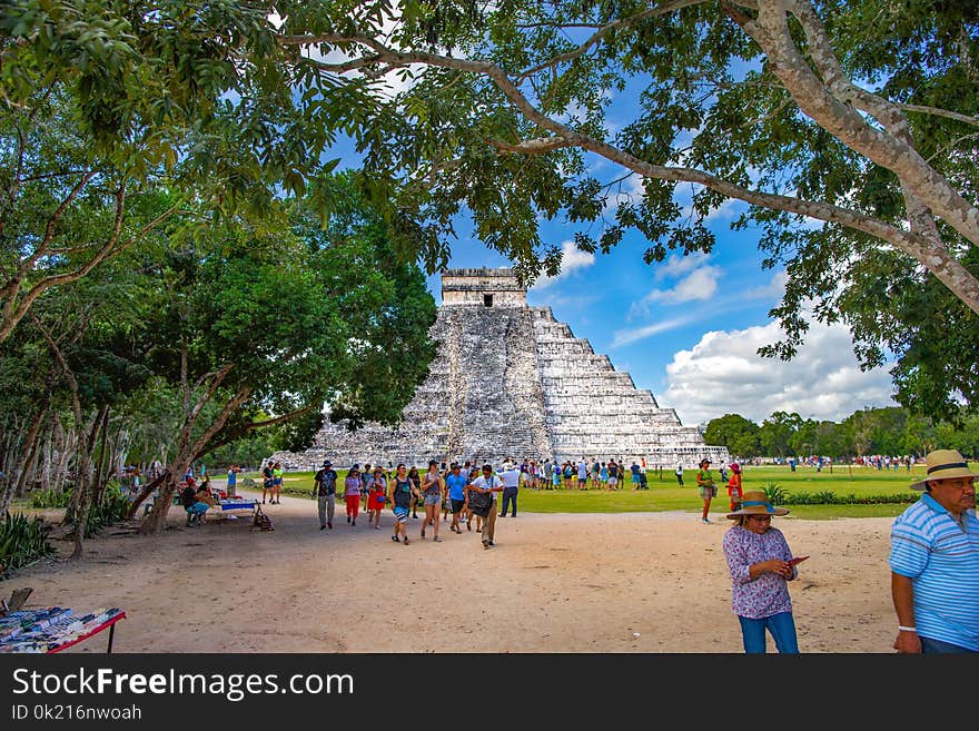 Tree, Tourist Attraction, Tourism, Leisure